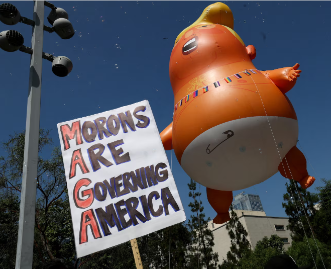 Morons Are Governing America
