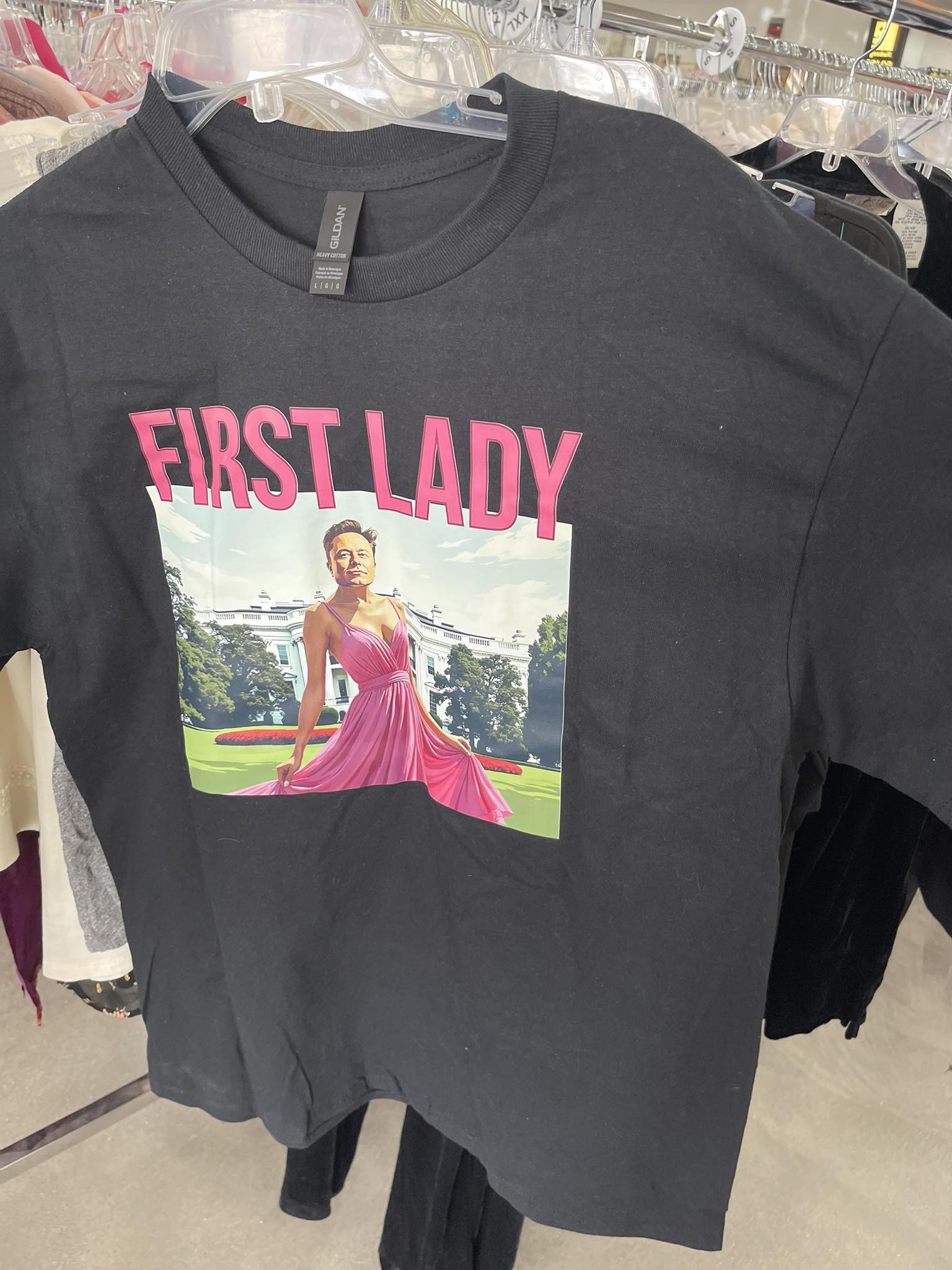 White House & Elon Musk T-Shirt